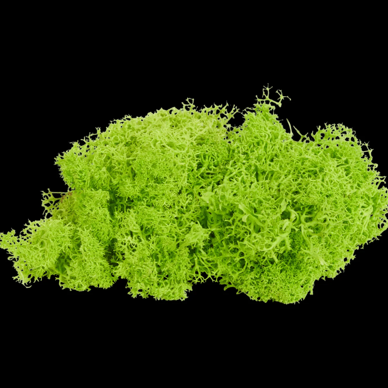 Home Accents decoratief mos