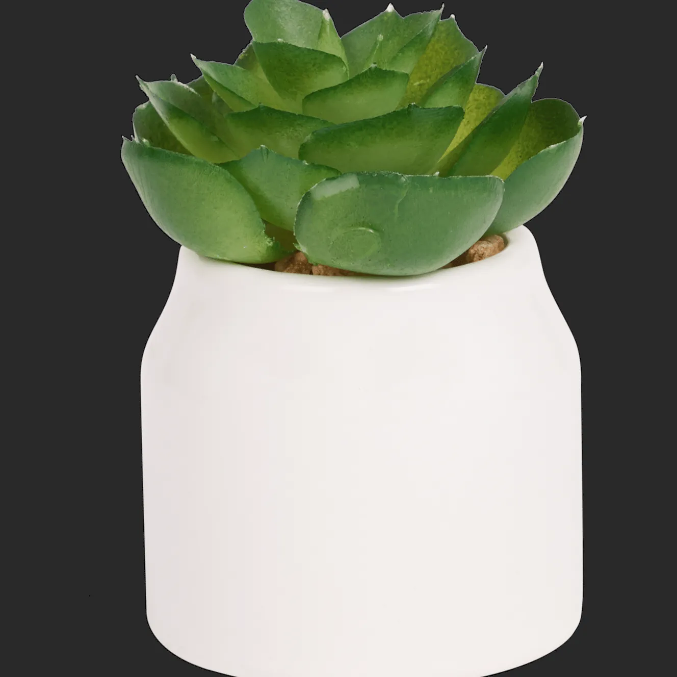 Home Accents kunstvetplantje in pot