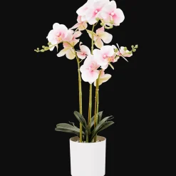 Kunst orchidee in pot