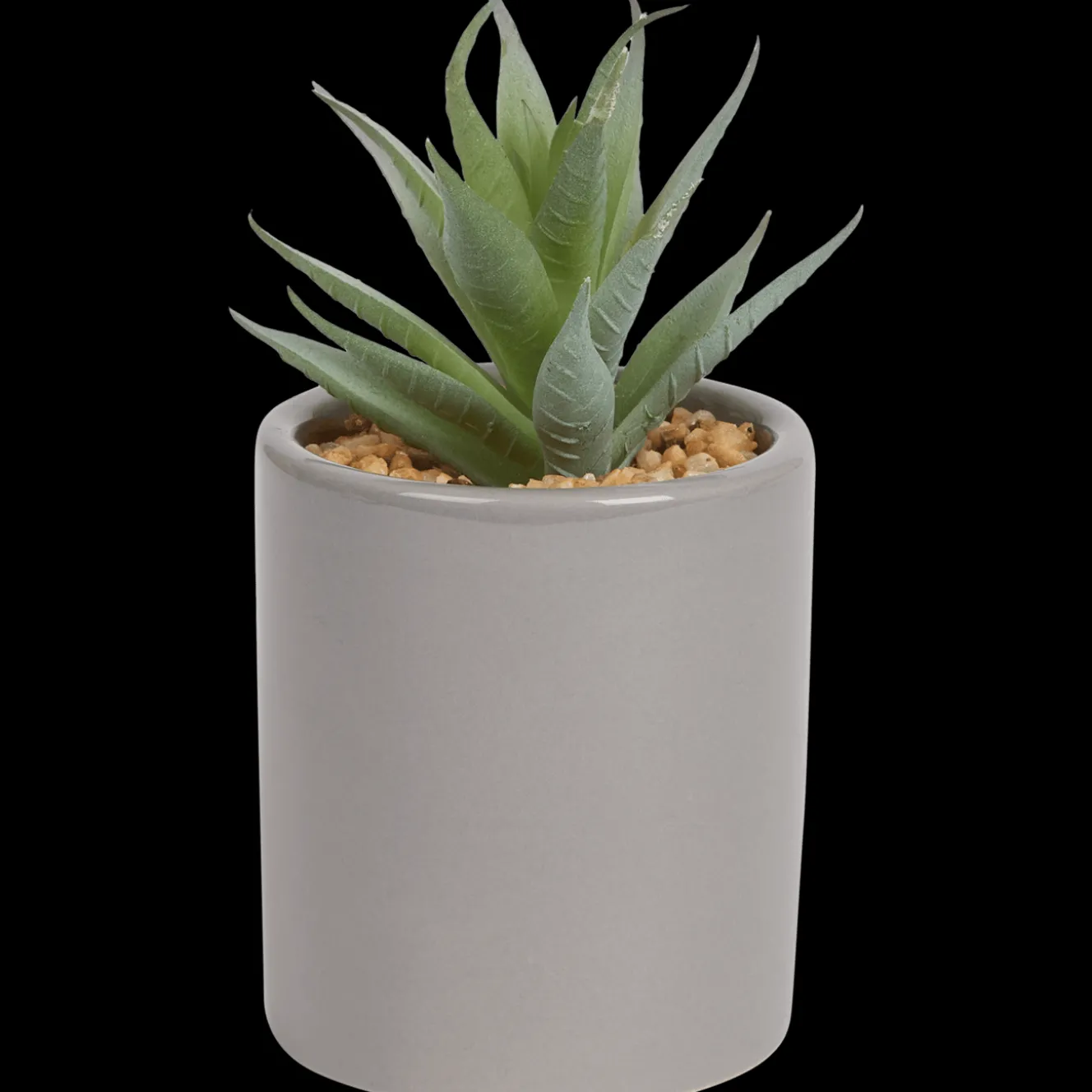 Kunst vetplant in pot