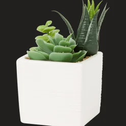 Kunst-vetplant in pot
