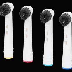 Opzetborstels Houtskool